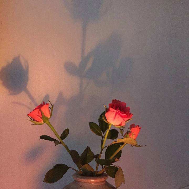 專業(yè)的風雨操場地板單層龍骨結構