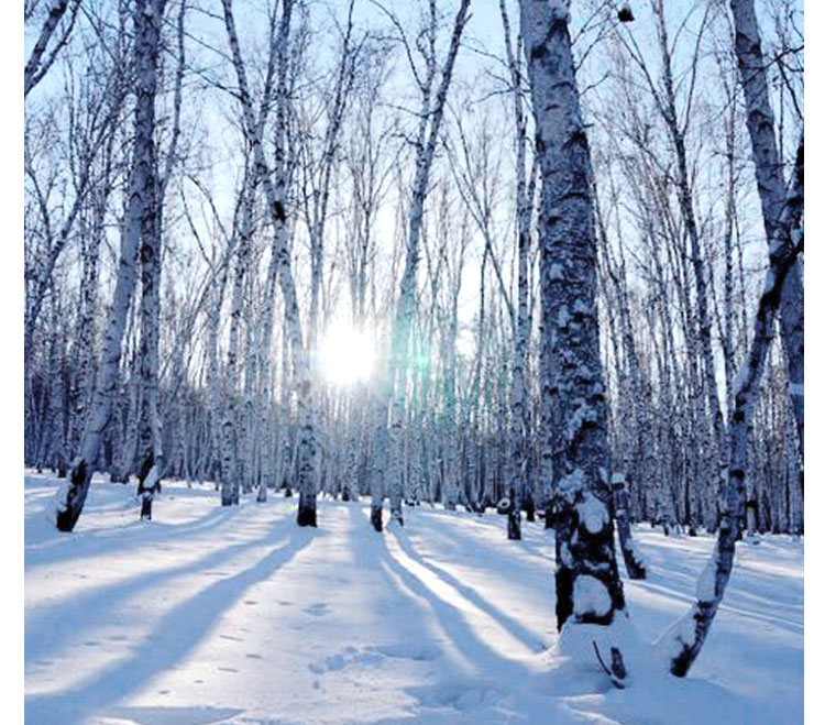 為什么運動地板會進行涂漆？