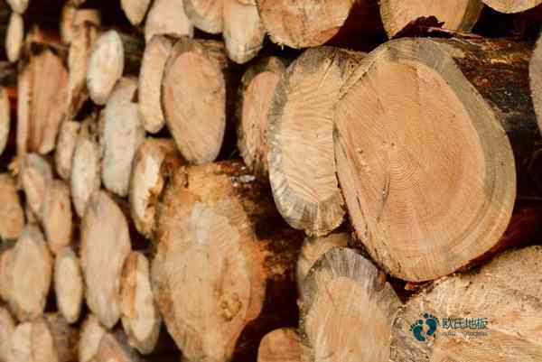 籃球場木地板價格是多少錢？